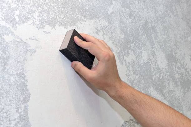 Environmental Consulting for Mold Prevention in Veedersburg, IN