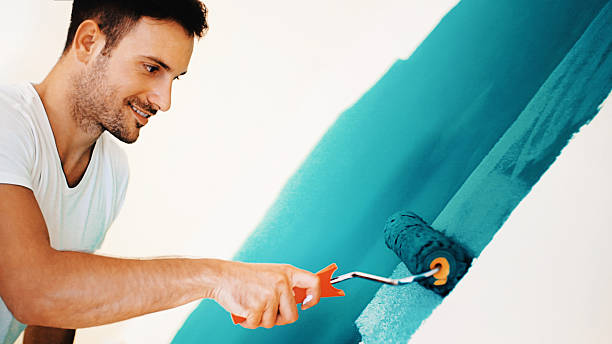 Veedersburg, IN Mold Removal Company